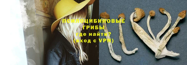 гидра Ельня