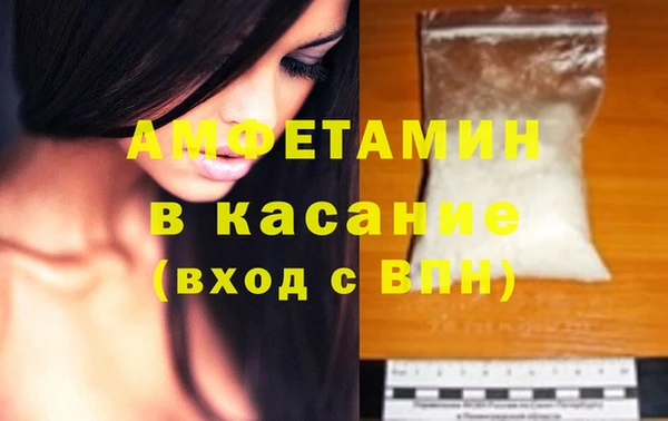 гидра Ельня
