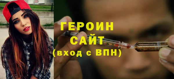 гидра Ельня