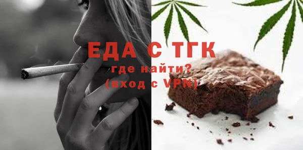 гидра Ельня