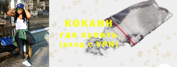 сатива Елизово