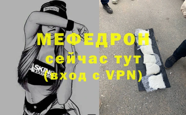 гидра Ельня