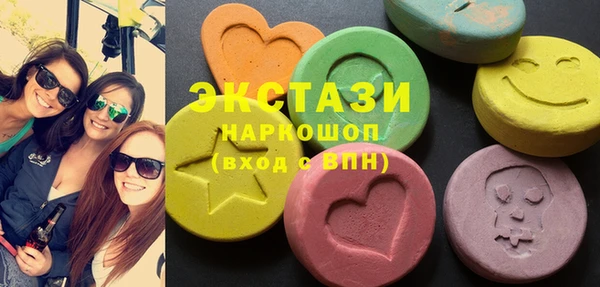 гидра Ельня