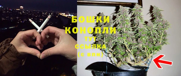 гидра Ельня