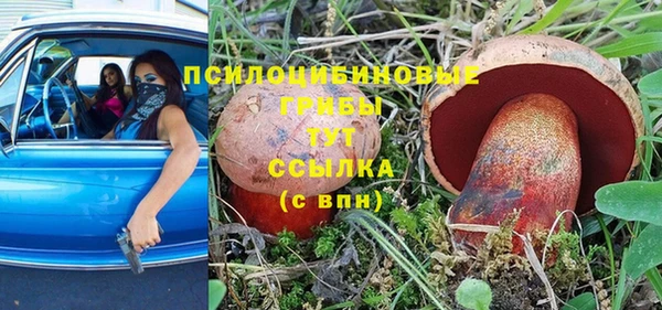 сатива Елизово