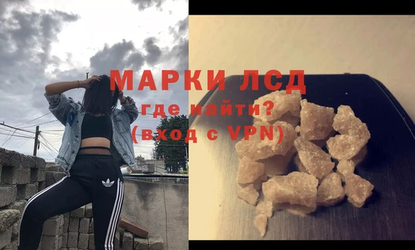 гидра Ельня