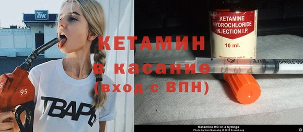гидра Ельня