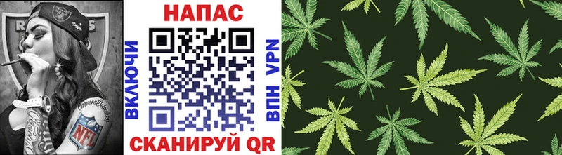 цены Приморск Бошки марихуана White Widow